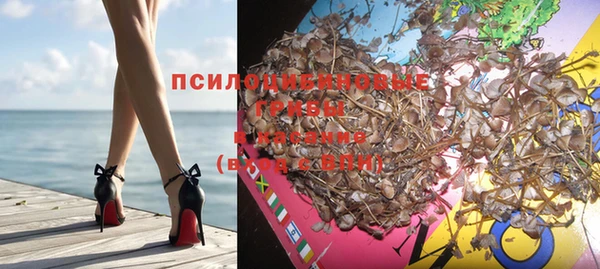 шишки Мегион