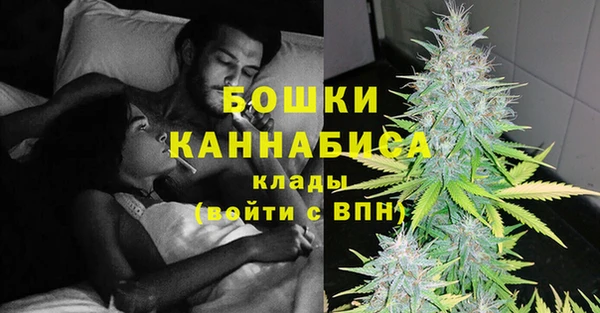 сатива Медвежьегорск