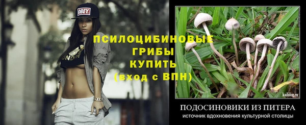 шишки Мегион