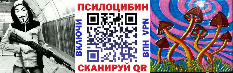 Галлюциногенные грибы MAGIC MUSHROOMS  купить наркотик  Вилючинск 